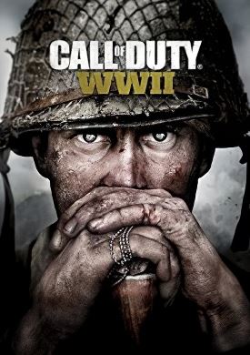
Call of Duty WW2