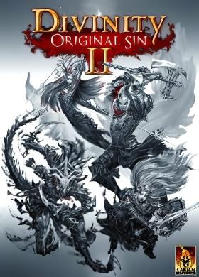 
Divinity Original Sin 2
