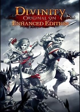 
Divinity Original Sin