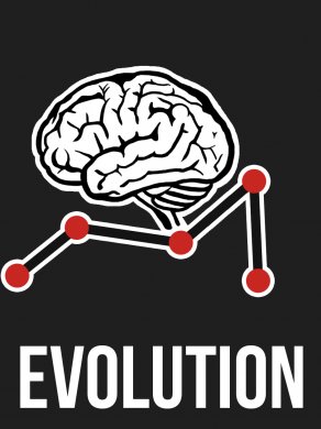 
Evolution