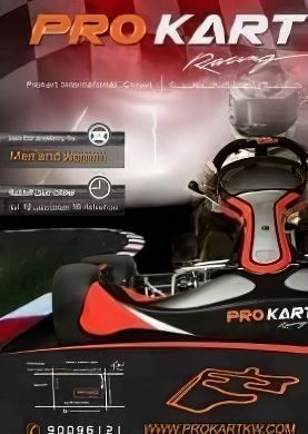 
Kart Racing Pro