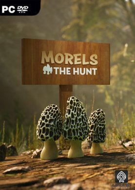 
Morels: The Hunt