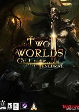 
Two Worlds 2: Call of the Tenebrae
